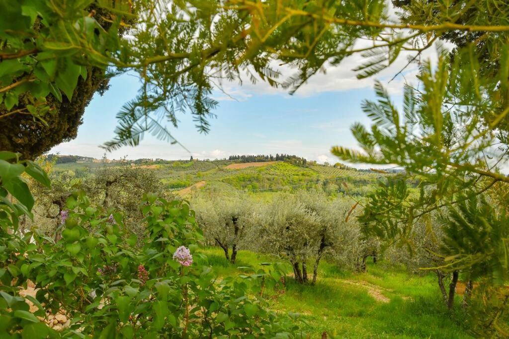 Appartamento Con Vista Panoramica In Chianti San Donnino  Dış mekan fotoğraf